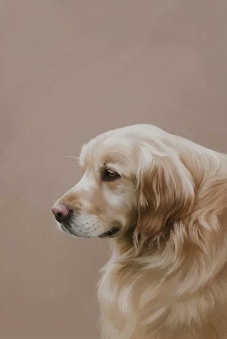 Golden retriever, modern style