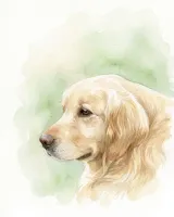 Golden retriever portrait in Watercolor style